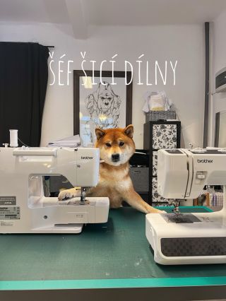 Konečně vidíte, kdo za touhle značkou stojí 😂🦊